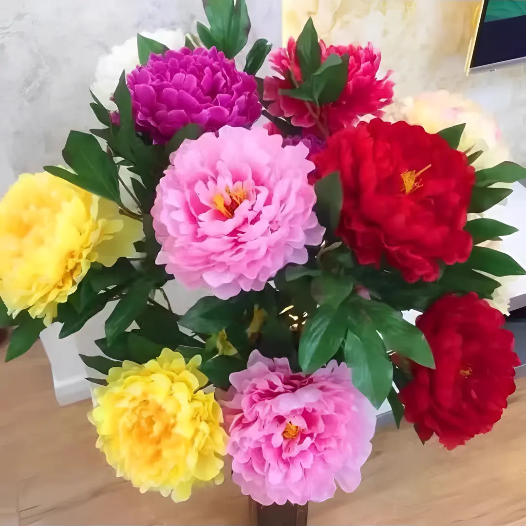 🌸 Double Climbing Peony Vine Hardy Perennial Garden Climber for Indoor & Outdoor Beauty